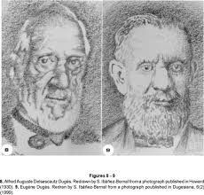 Contributions to a History of Mexican Dipterology: Part I. Entomologists  and their works before the Biologia Centrali-Americana