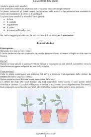 Per quanto riguarda la costituzione delle classi, queste in ciascun plesso saranno costituite da non meno di 15 e non più di 26 bambini, elevabili a 27 in presenza di resti. La Sensibilita Delle Piante Pdf Download Gratuito