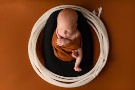 Stephanie Dorr Photography