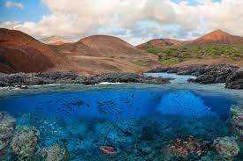Ascension islands in the falklands war :: No Fishing Allowed In Ascension Island S New Marine Protected Area