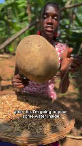 Image result for calabash