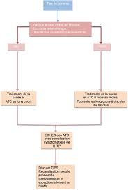 Thrombose Portale Chez L Adulte Quel Bilan Quelle Prise En Charge Fmc Hge