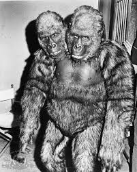 Slobber Drool Drip Rick Baker S Two Haeded Gorilla From The Thing Creepy Vintage Movie Monsters Gorilla