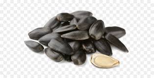 Terdapat 385 penyuplai umur bunga matahari, sebagian besar berlokasi di asia. Masakan Rusia Umum Bunga Matahari Biji Bunga Matahari Gambar Png