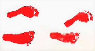 We did not find results for: Reggio Padagogik Inspirierende Gedanken