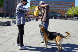 It will help you map out the specifics of your business and discover some unknowns. Supporting Communities To Help End Pet Homelessness Mars Incorporated