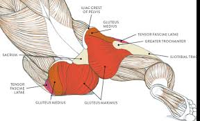 Check spelling or type a new query. Glute Hamstring Tie In Workout Off 64