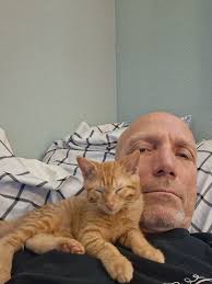 Lost kitten in Columbia County?