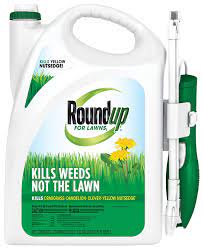 If you bought too much or didn't use up what was in the canister, you may have some left over that you need to get rid of. Lawn Weed Control Spray Roundup For Lawns1 With Extended Wand Roundup