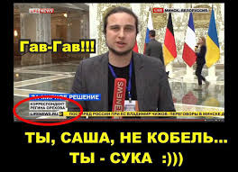 Гавньюз»: как в Интернете троллят лающего журналиста