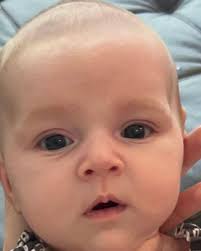 Scott Herrin (@thescottcam) • Instagram photos and videos