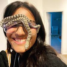 I am looking to adopt a hognose snake.