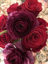 Flower shop greenwich ct locations, hours, phone number, map and driving directions. Banchet Flowers 40 E Putnam Ave Greenwich Ct Florists Mapquest