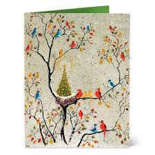 Dehn Avian Holiday Cards Boxed Christmas Cards Holiday Cards Christmas Holiday Cards