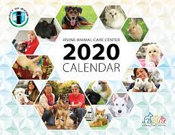 Search for dogs for adoption at shelters near irvine, ca. Pet Calendar City Of Irvine