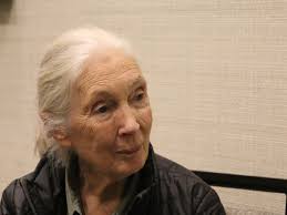 Will the U.S. Census change your Pinellas County Commission district?