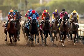 Johnson is a 12 year old 15.1 hand gelding. Chrb Executive Director Rick Baedeker Says He S Retiring Los Angeles Times