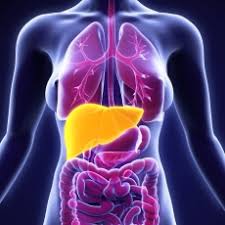 The main node is usually located in the right lobe of the liver or its. Fatty Liver Disease Medlineplus