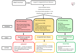 Heart Murmurs In The Neonate An Approach To The Neonate