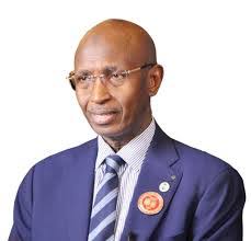 Government Participation