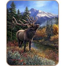 The Bull Elk Db5258 Is The Softest Brightest And Plushest Printed Blanket On The Planet Can Be Used At The Game On A Picnic In Hayvan Cizimi Hayvan Cizim