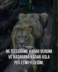 2563 Begenme 14 Yorum Instagramda Motive Kurdu Iliana Solis Kurdu Cu 2020 Motivasyon Motivasyon Sozleri Ilham Verici Sozler