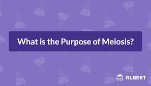 Meiosis terminology answers / meiosis terminology concept map masteringbiology maps catalog online.the term meiosis comes from the greek word μειόω, which means to make smaller or to diminish. What Is The Purpose Of Meiosis Albert Io
