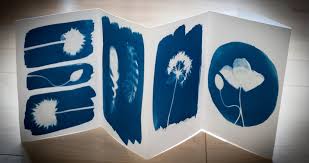 Cyanotype Workshop With Kit Martin Go Industrial
