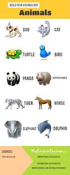 Animals Infographic Animal Infographic Animals For Kids Kids Alphabet Book