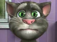 Talking Tom Oyunu Online Ucretsiz Oyna Kraloyun
