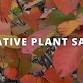 Missouri Chestnut Roast Festival