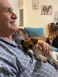 boxer loses battle with illness at 11 years