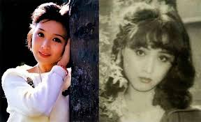 Các mỹ nhân trong gia đình Lưu Diệc Phi