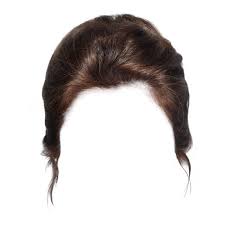 Polyvore Photoshop Hair Doll Hair Hair Png