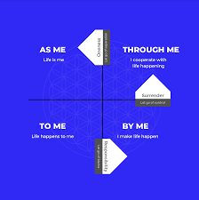 Image result for Level of Consciousness