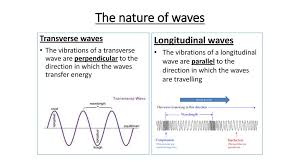 • wavelength the distance travelled by the disturbance during the. What Does Longitudinal Wave Mean In English