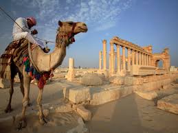 The main reason is to act as a defense against solar radiation. Dromedary Camel Camelus Dromedarius