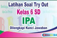 Soal try out kelas 6. Contoh Soal Try Out Ipa Kelas 6 Berbagai Contoh