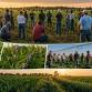 LDC Regen Ag Field Day