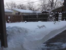 In order to help you stick to your budget, we've created recurring lawn care service plans and bundles that are cheaper than a one time service. Snow Averyclaire