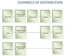 Flow Chart Depicting Basic Flow Of Channels Of Distribution