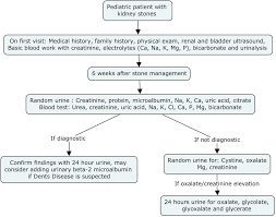 Educational Review Role Of The Pediatric Nephrologists In