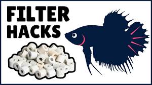 How To Diy Filter Upgrade For 5 Gallon Starter Aquarium Hack My Betta Tank Youtube Betta Tank Betta Betta Fish Types