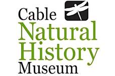 Museum After Hours: Pinned Butterflies