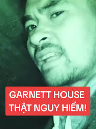 Gannet Stephen Fulford