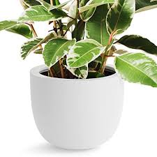5 out of 5 stars. Amazon Com Omysa Large Indoor Planter 15 Inch White Modern Plant Pots For Plants Trees Fiberstone Round Egg Shape Pot Plant Holder Flower Container Fits Nursery 12