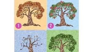 Psikotes wawancara kerja dengan metode gambar kaskus. Tes Kepribadian Pohon Pilihanmu Ungkap Pandangan Orang Lain Tentang Kamu Cek Selengkapnya Di Sini Tribun Bali