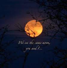 Wenn du zu einem der folgenden sternzeichen gehörst, erwarten dich große veränderungen in deinem leb. Rumi Vollmond Vollmond Zitate Mond