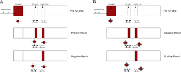 Lateral flow tests, also known as lateral flow immunochromatographic assays or rapid tests, are simple devices intended to detect the presence of a target substance in a liquid sample without the. Lateral Flow Technology For Field Based Applications Basics And Advanced Developments Sciencedirect