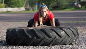 Check spelling or type a new query. Maximchallenge Pa Tufte Gard D Tarina